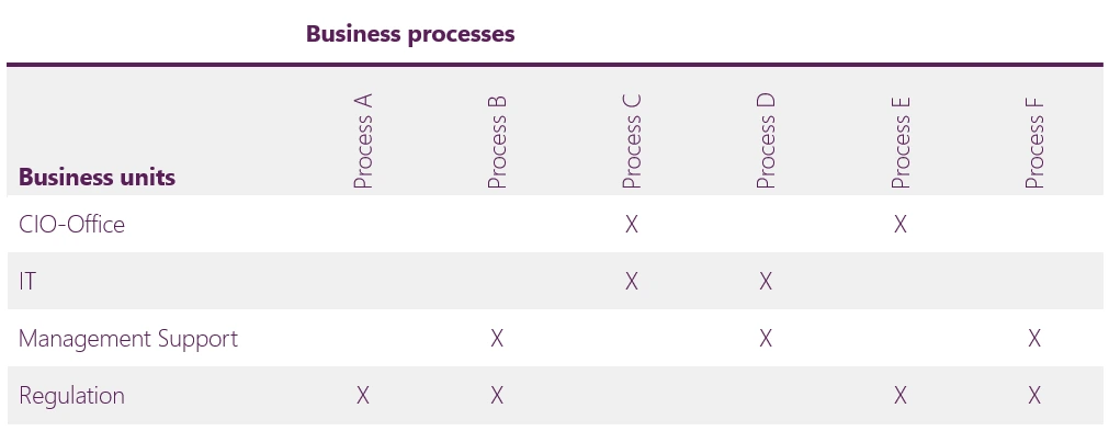 Organization/Business Process Matrix