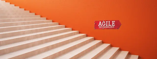 Agile Architecture Agony