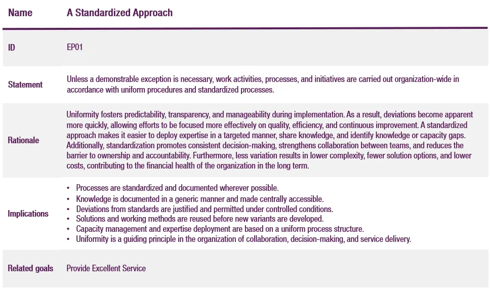 Example Enterprise Principle