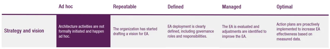 Example maturity level Strategy and vision