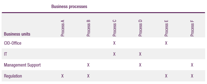 Organization/Business Process Matrix